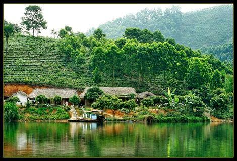 Phú Thọ